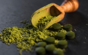 Những điều bạn nên biết về chất diệp lục