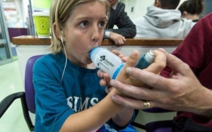 Bão phấn hoa ở Australia gây hen suyễn cho hàng nghìn người