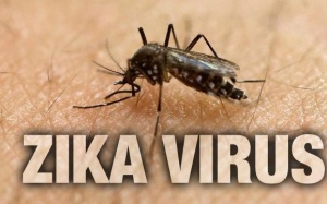 Đến lượt Tây Ninh bị Zika 'tấn công'!