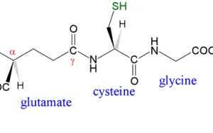 Glutathione - dưỡng chất làm trắng và chống lão hóa da cực mạnh
