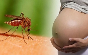 2 bà bầu ở Sài Gòn nhiễm virus Zika phải ngưng thai kỳ