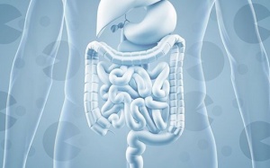 Trị rối loạn tiêu hóa, phòng táo bón với men vi sinh và chất xơ