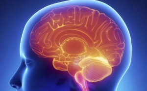 Ứng dụng liệu pháp tế bào gốc cho điều trị bệnh Parkinson