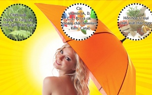 Tác dụng của chiết xuất cây Dương xỉ: Giúp chống nắng, chống tia cực tím