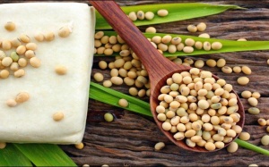 Đậu nành có tốt cho người bị u xơ tử cung?