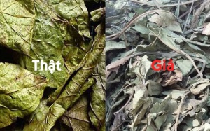 Mua xạ đen hóa ra xạ vàng, xạ lai