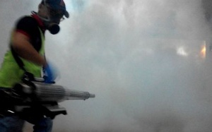 TP.HCM: Số nạn nhân của virus Zika dồn dập tăng