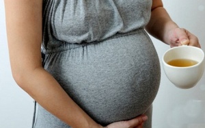 Phụ nữ mang thai uống trà xanh có an toàn?