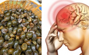 Chế biến ốc bươu vàng thế nào cho ngon để không bị viêm màng não?