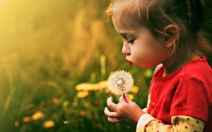 Tử vi 12 cung hoàng đạo thứ sáu (16/12/2016)