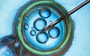 Anh: Quốc gia đầu tiên trên thế giới cấp phép sinh em bé từ 3 người