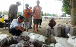 Bắt giữ xe khách chở trên 700kg nội tạng động vật bốc mùi hôi thối