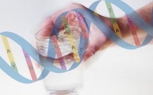 Đột biến gene có thể gây bệnh Parkinson khởi phát sớm