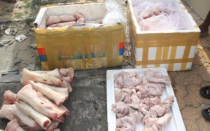 Phát hiện hàng ngàn con chim cút, hàng trăm chân giò heo thối trên xe khách