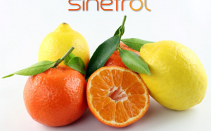 Sử dụng sinetrol cho giảm cân: Bao nhiêu là đủ?