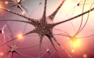 Tại sao phụ nữ 30+ cần bổ sung DHEA?