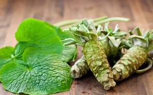 5 lợi ích của wasabi với sức khỏe và vẻ đẹp