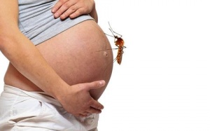 Dịch bệnh Zika lan rộng khắp Sài Gòn