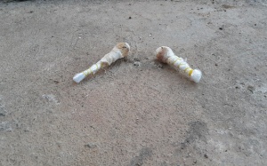 Đắk Nông: Cảnh báo nguy cơ chết người vì bả chó, bả chuột giống kẹo