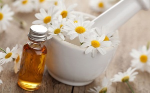 10 lợi ích khi sử dụng tinh dầu cúc La Mã