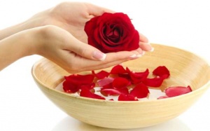 Sử dụng nước hoa hồng thế nào để chăm sóc da hiệu quả?