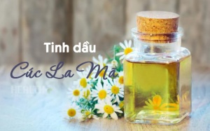 Cách sử dụng tinh dầu cúc La Mã hiệu quả cho da mặt và sức khỏe