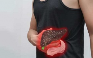 Cholesterol dư thừa làm tăng nguy cơ gan nhiễm mỡ mùa Đông