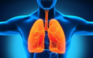 Những thực phẩm giúp làm sạch và giải độc phổi hiệu quả