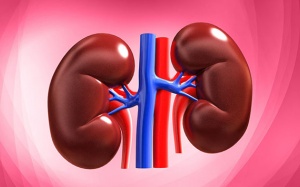 Đọc ngay nếu không muốn chết vì suy thận