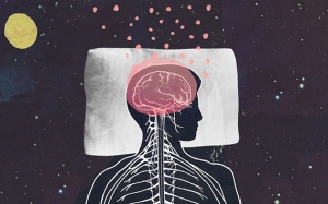 Mất ngủ hại não thế nào?