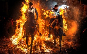 Nghẹt thở với 16 pha mạo hiểm 'điên rồ' nhất năm 2016