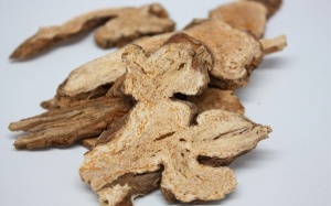 Bạch truật – loại thảo dược giúp hỗ trợ điều trị bệnh xương khớp