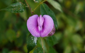 7 hiểu lầm tai hại về phần môi “cô bé”