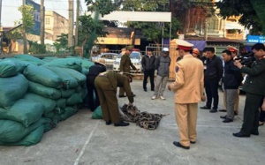 Hơn 11 tấn da trâu bò thối trên đường ra Bắc