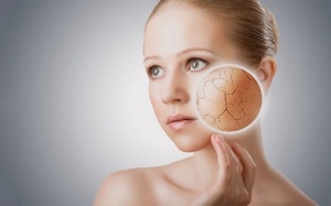 5 biện pháp tự nhiên giúp hỗ trợ tình trạng khô da mùa Đông