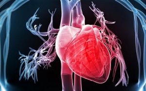 Rối loạn nhịp tim ảnh hưởng thế nào tới người bị u trung biểu mô?