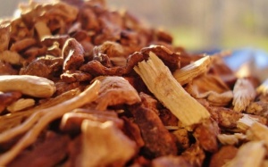 Cách chọn và sử dụng thổ phục linh hỗ trợ điều trị phong tê thấp