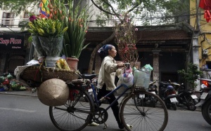 Tết về theo những chuyến xe chở đào đi rong trên phố