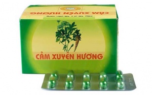 Thuốc Đông y của Dược phẩm Hà Thành bị thu hồi do không đạt giới hạn nhiễm khuẩn