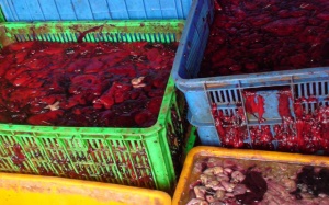 Bắt quả tang 5 tấn tiết, nội tạng thối chuẩn bị đổ xuống sông Đồng Nai