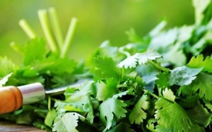 Rau mùi giúp đối phó với da khô, mụn trứng cá, mụn đầu đen