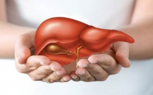 Giải độc gan, thanh lọc cơ thể với những loại nước uống đơn giản, dễ làm