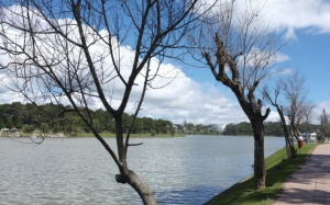 Thời tiết kỳ lạ, hoa tết... mang họa