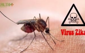 Bệnh do virus Zika sẽ lưu hành như bệnh sốt xuất huyết?