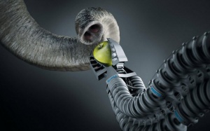 Những phát minh kì diệu lấy cảm hứng từ thiên nhiên