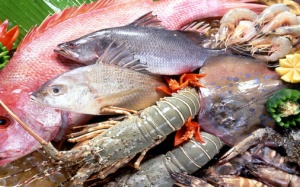 Miếng ăn là miếng tồi tàn!