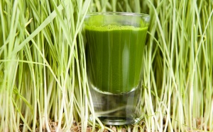 7 biện pháp thảo dược cho mồ hôi nhiều