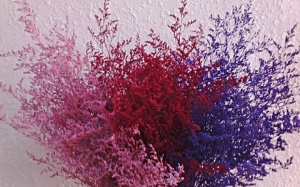 Hoa sao khô tẩm phẩm màu độc hại 'bung lụa' dịp Tết Đinh Dậu 2017