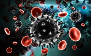 Phát hiện kháng thể trung hòa virus HIV