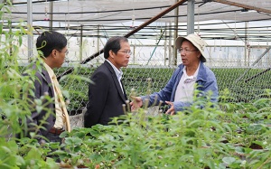 Khởi nghiệp từ nông nghiệp - một hướng đi bền vững